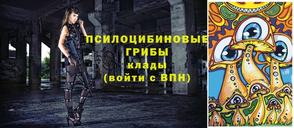 дмт Арсеньев