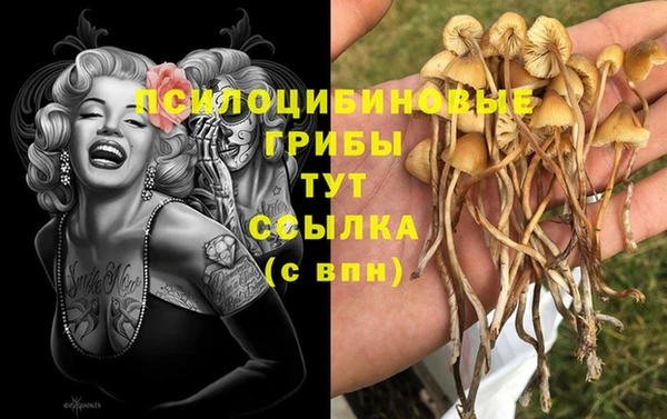 метамфетамин Аркадак