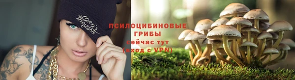 дурь Армянск